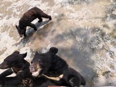 -西安秦岭野生动物园