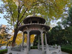 -玲珑塔公园