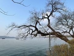 -浙江西子宾馆·牡丹厅