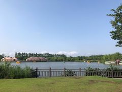 -上海长兴岛郊野公园