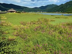 -腾冲北海湿地