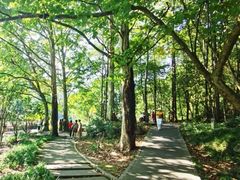 -黔灵山公园