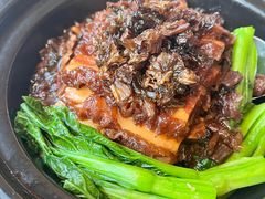 -喜来登由由大酒店九州膳坊中餐厅