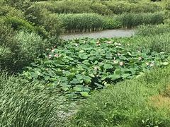 -棋盘山风景区