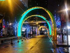 -上海静安香格里拉大酒店