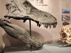 -自贡恐龙博物馆