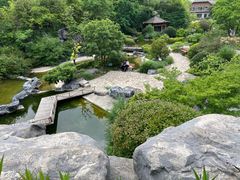 -上海吴淞炮台湾国家湿地公园