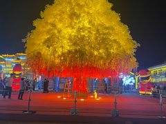 -鼎盛王朝康熙大典实景演出