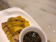 -老绍兴养和饭店(向阳不夜城店)