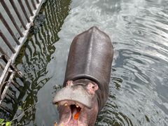 -海南热带野生动植物园