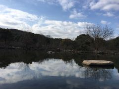 -白马涧龙池景区