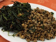 炒麻叶-深运潮州粥(东门店)