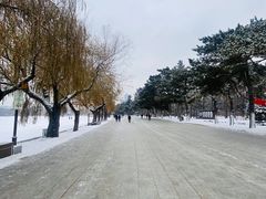 -长春市南湖公园