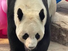 -沈阳森林动物园