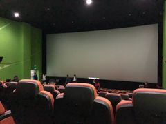 -天幕新彩云国际影城(激光巨幕店)