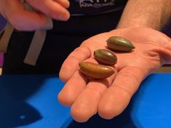 -AZUR聚(香格里拉饭店)