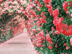 -广富林郊野公园