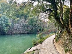 -张鸟园农家乐(张鸟园店)