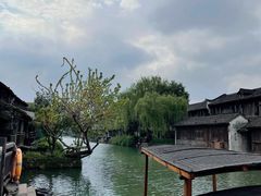 -乌镇西栅景区