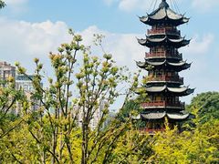 -龙华寺