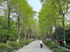 -杭州植物园