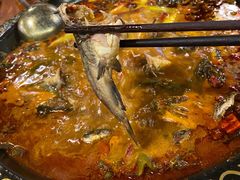 黄辣丁-三道苗苗鱼·美蛙黄辣丁(八里店)