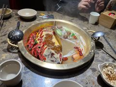 -小龙坎火锅(总店)