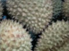 -港华水果街(港华广场店)