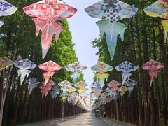 -日照海滨国家森林公园