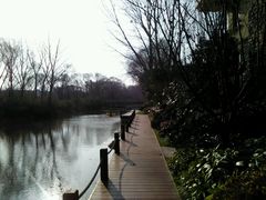 -思念果岭悦温泉