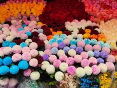 -越秀西湖花市(广州城市广场花卉店)