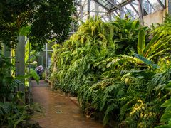 -国家植物园南园