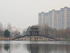 -洋湖国家湿地公园