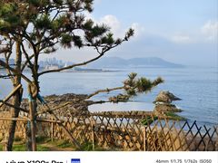 -小麦岛公园