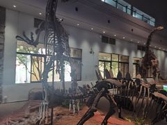 -自贡恐龙博物馆