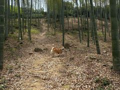 -陶祖圣境风景区