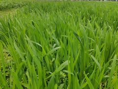 -中国天府农业博览园