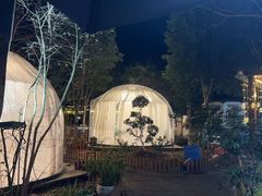 -张鸟园农家乐(张鸟园店)