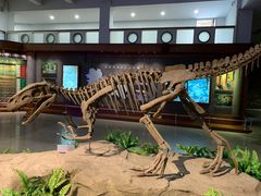 -自贡恐龙博物馆