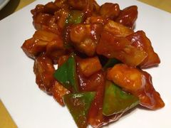 -素虎小呆鸟(西二旗店)