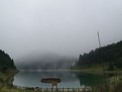 -武陵山森林公园