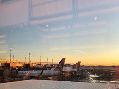 -纽瓦克自由国际机场