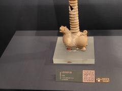 -温州博物馆