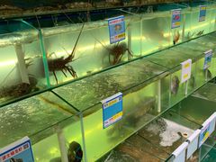 海鲜原材料-琼大师东方烤乳猪(亚特兰蒂斯店)