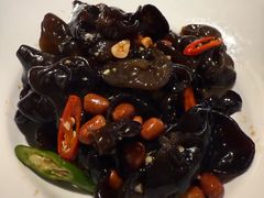 -九毛九西北菜(大东海店)