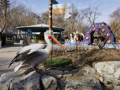 -北京野生动物园