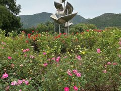 -北京植物园南门售票处