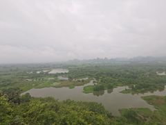 -会仙湿地