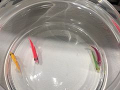-秦皇岛野生动物园