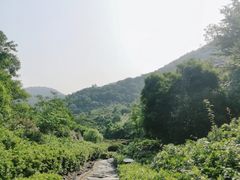 -桃花岭景区